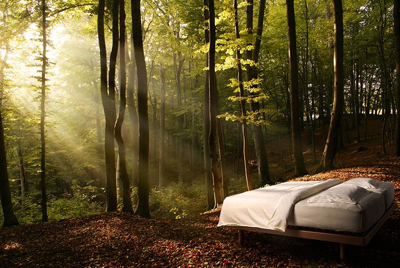Er Green Sleep verdens beste senger? / 2017 / Helsemagasinet vitenskap og fornuft