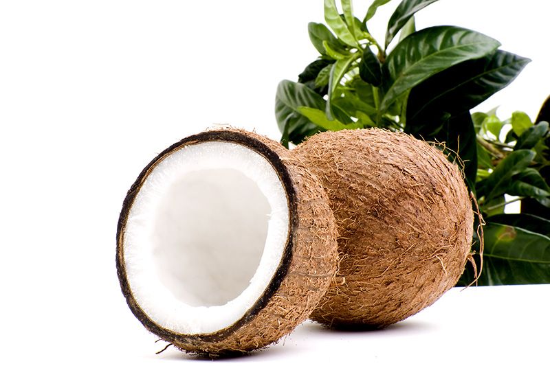 Gjør bruk av kokosfettet! / 2011 / Helsemagasinet vitenskap og fornuft